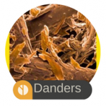 Pet Danders
